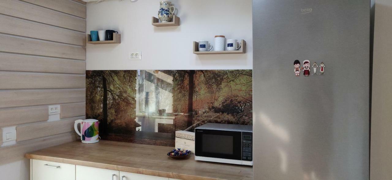 פיטסטי Modern And Cozy Apartment מראה חיצוני תמונה