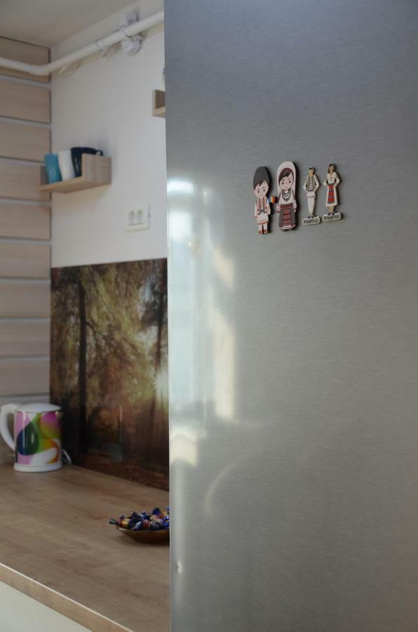 פיטסטי Modern And Cozy Apartment מראה חיצוני תמונה