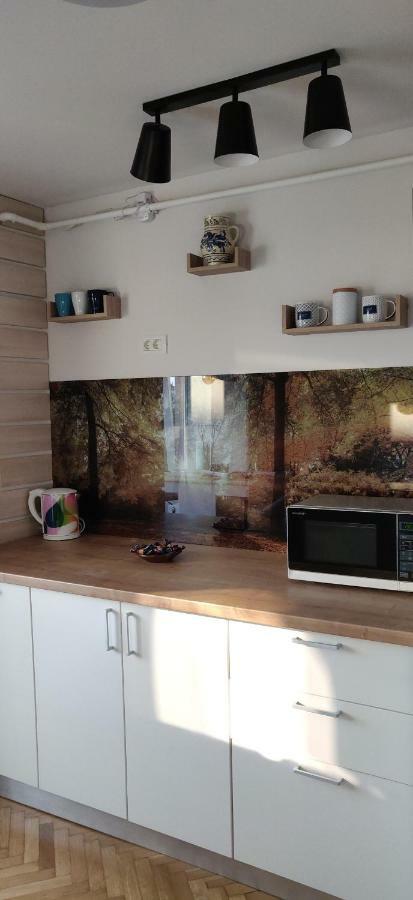 פיטסטי Modern And Cozy Apartment מראה חיצוני תמונה
